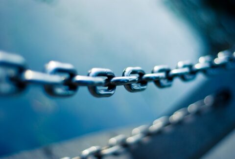 Chain link
