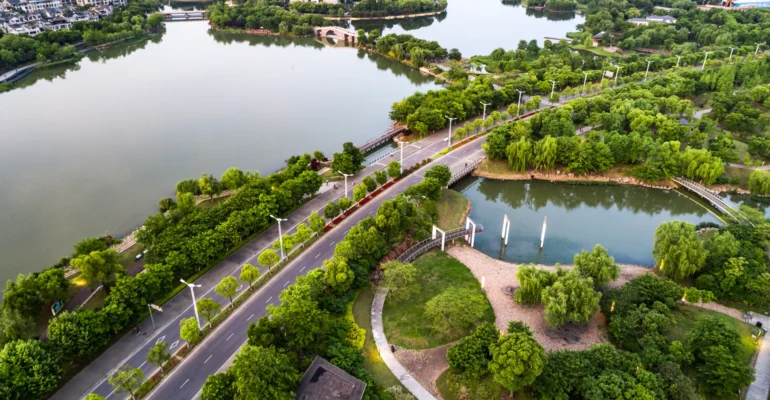 The Inside Story of India's Eco Reforms