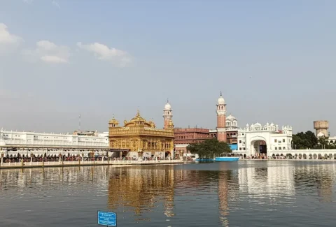 Stories from Amritsar's food scene