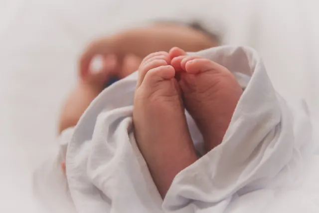 The Story of Falling Global Fertility